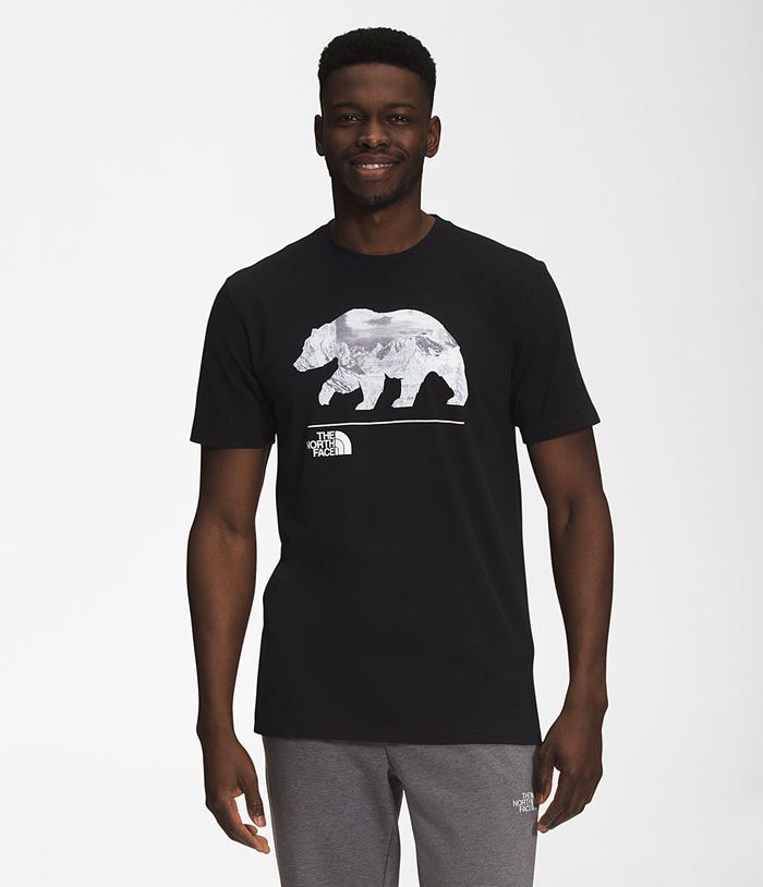 Camiseta The North Face Hombre Negras Bearscape Manga corta 84253ZNYW